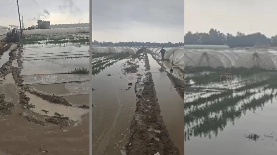 Tarsus Kulak ve Adanalıoğlu’nda Seralar ve Tarlalar Çamur İçinde, Çiftçiler Destek Bekliyor