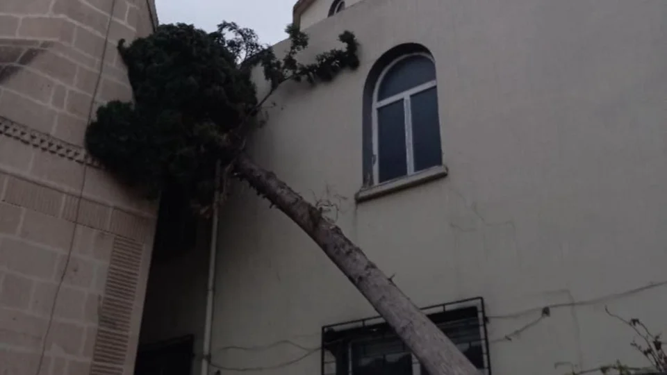 Fırtına Kâbusu Sürüyor: Akdeniz'de Dev Ağaç Caminin Üzerine Devrildi!