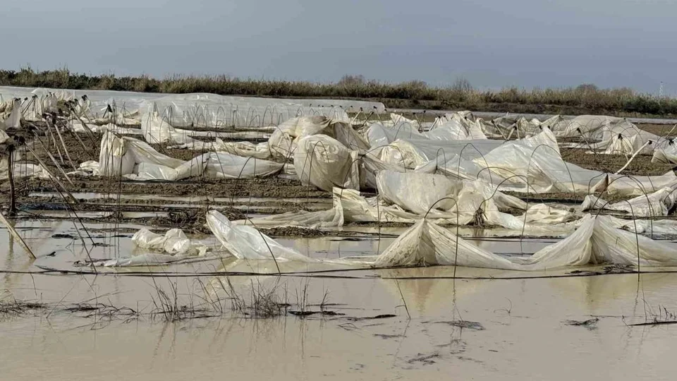Tarsus'ta Fırtına ve Yağış Hasar Verdi: Seralar Uçtu, Spor Kompleksi Yıkıldı, Ağaçlar Devrildi