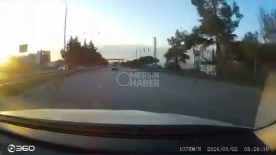 Toroslar’da Sürücüden Muhteşem Refleks: Köpeğe Çarpmamak İçin Ani Manevra Yaptı, Kıl Payı Kurtuldu