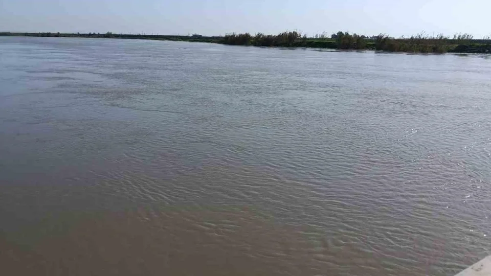 Seyhan Nehri Taştı: Tarsus Çöplü Mahallesi’nde Binlerce Dönüm Tarım Arazisi Sular Altında