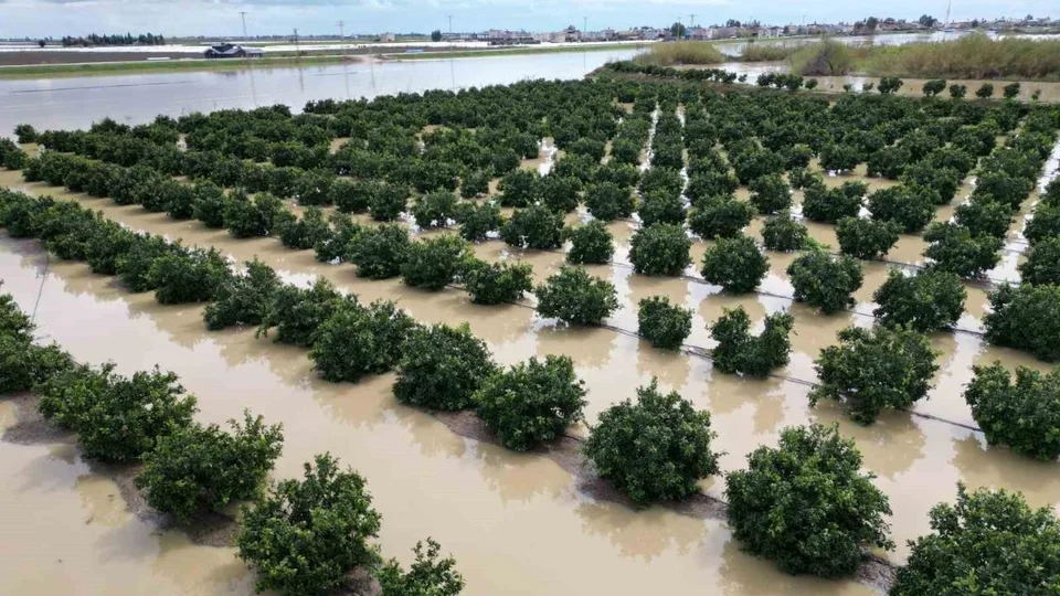 Beşinci Kez Sular Altında: Tarsus'ta 3 Günlük Yağış 8 Bin Dönüm Ekili Alanı Vurdu