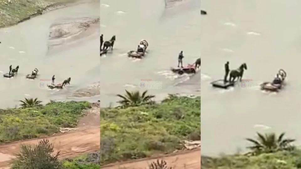 Müftü Deresi’nde Bataklığa Saplanan Atlar Güçlükle Kurtarıldı