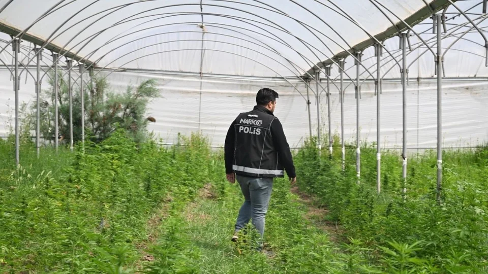 Tarsus’ta Serada 5 Bin 560 Kök Hint Keneviri Ele Geçirildi: 3 Şüpheli Tutuklandı