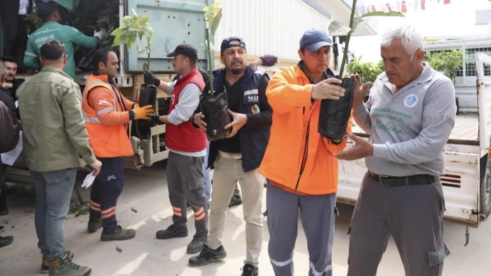 Anamur’da Avokado Üretimine Büyük Destek: 4.447 Fidanı ve Bitki Besleme Ürünü Dağıtıldı