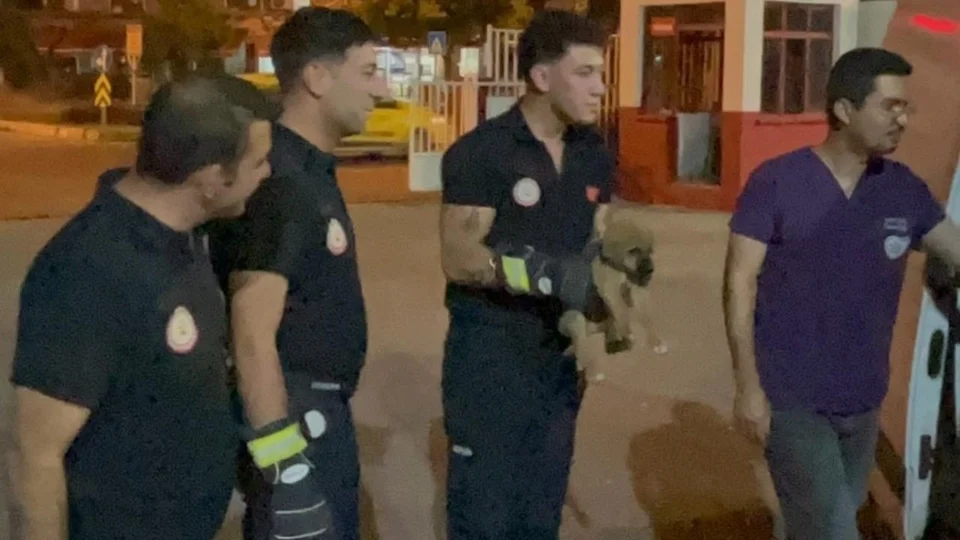 Mersin İtfaiyesi Arabanın Motoruna Sıkışan Yavru Köpeği 40 Dakikada Kurtardı