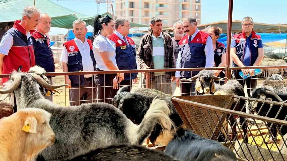 Kurbanlık Satış Noktalarına Yoğun Denetim: Mersin’de Hijyen ve Güvenlik Kontrolleri Arttı