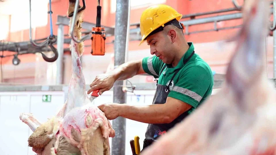 Mersin Büyükşehir’in Mobil Kesim Üniteleri Vatandaşlardan Tam Not Aldı