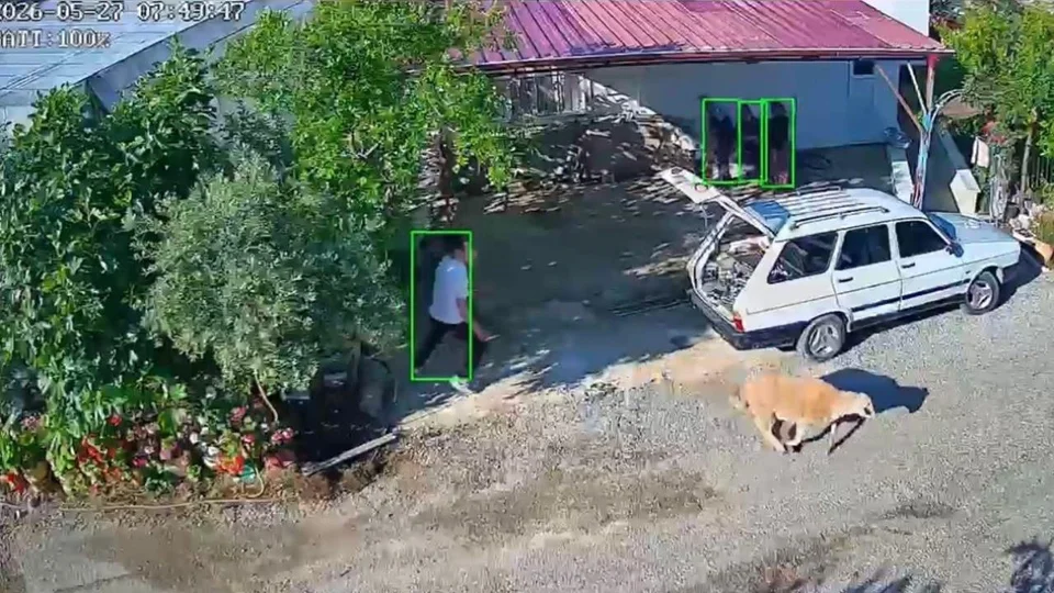 Kurban Klasikleri Bozyazı ve Tarsus’tan! Sahibinden Kaçan Kurbanlıklar Bayramı Renklendirdi: Biri Serada, Biri Üst Geçitte!