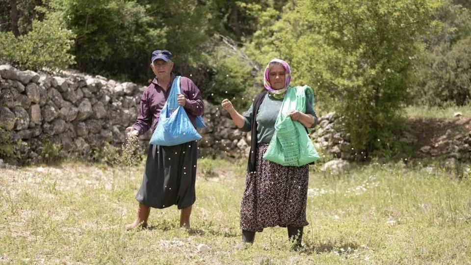Mersin Büyükşehir, Gülnar’da Yerel Tohum Projesini Sürdürüyor: 10 Üreticiye 600 Kilogram Atalık Nohut Tohumu Dağıtıldı