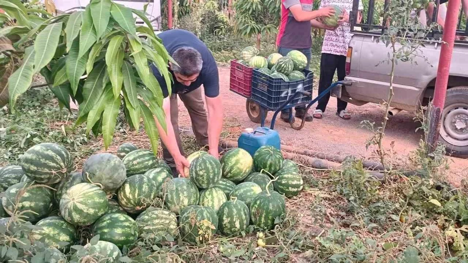 Gazipaşalı Hayırsever Çiftçiden Anamur ve Bozyazı Kur’an Kurslarına 10 Ton Karpuz