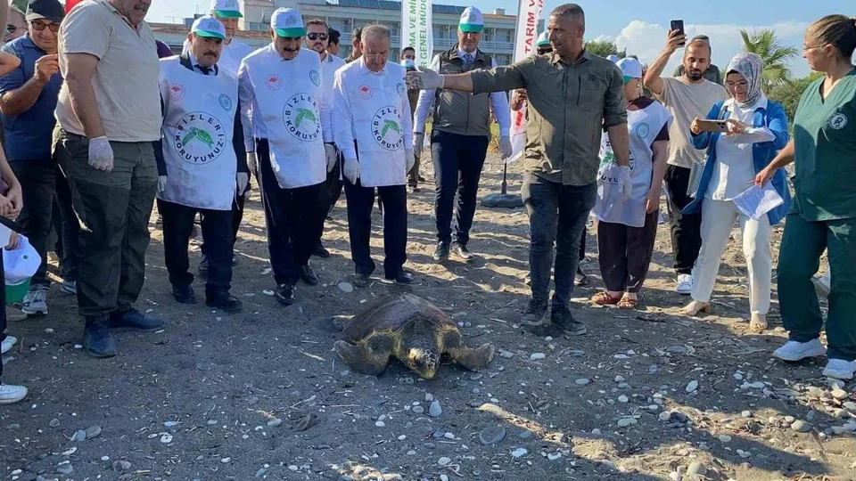 Mersin’de 1 Yıllık Tedavinin Ardından 3 Deniz Kaplumbağası Denize Bırakıldı