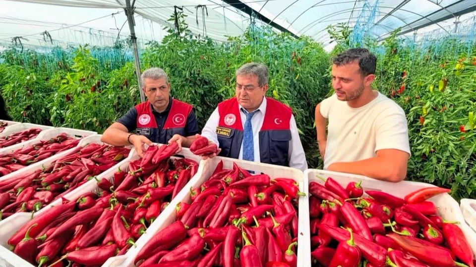 Akdeniz’de Kapya Biber Üretimine Destek Ziyareti: Biyolojik Mücadele Öne Çıktı