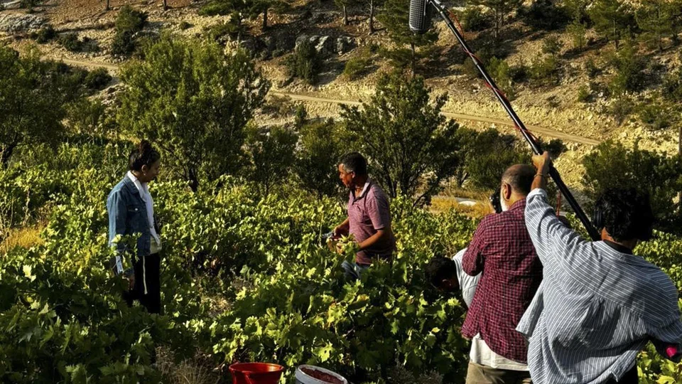 Mersin'in Kültürel Ve Tarımsal Mirası Beyazperdede: Üzümün Mirası Belgeseli Geliyor