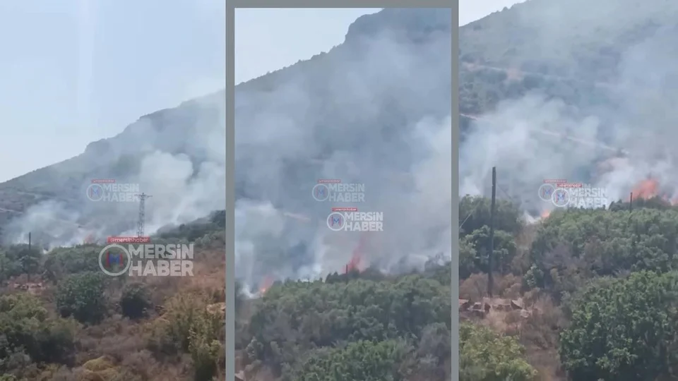 Bozyazı - Aydıncık Arasında Orman Yangını: Ekipler Seferber Oldu!