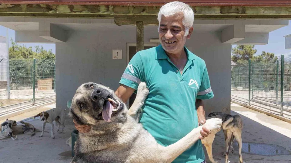 Silifke Hayvan Bakımevi Can Dostlarımıza İkinci Bir Şans Sunuyor: Binlerce Kedi ve Köpek Sağlığına Kavuştu!