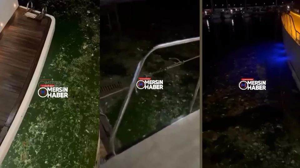 Mersin Marinası’nda Kirlilik Alarmı: Deniz Çöp Yuvasına Döndü, Vatandaş İsyan Etti!