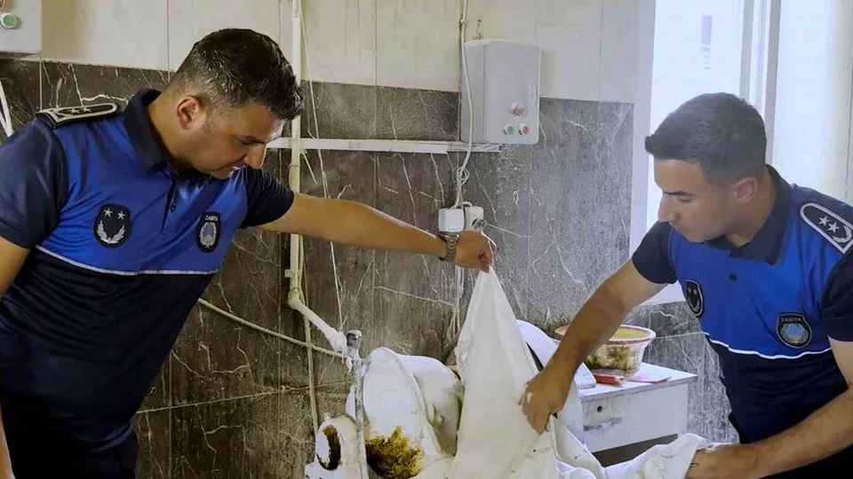 Tarsus’ta Skandal! Fırın Denetiminde 660 Kilo Haşereli Hamur İmha Edildi.