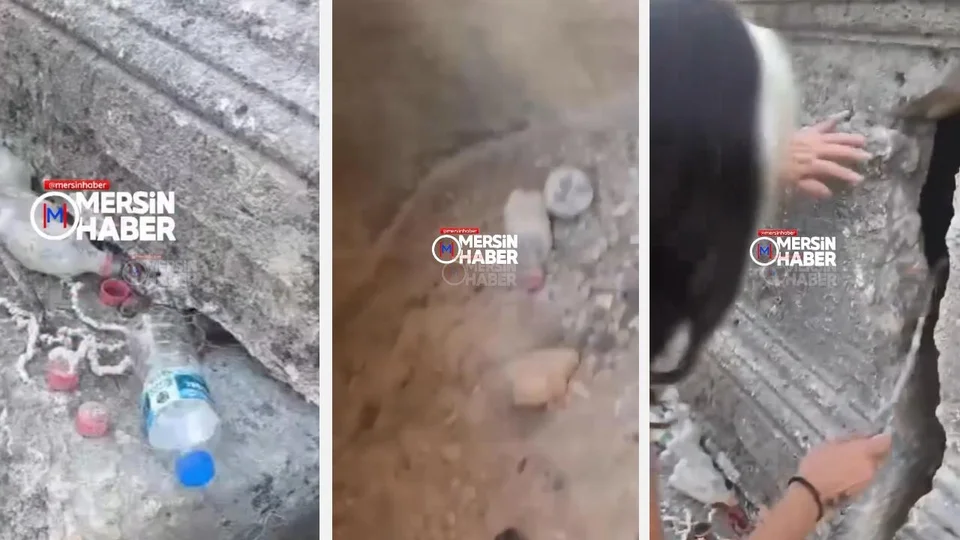 Erdemli’de Tarihi Mezarlıkta 'büyü' İddiası: Lahit Yarığında Ceviz Kabukları ve Boncuklar Bulundu