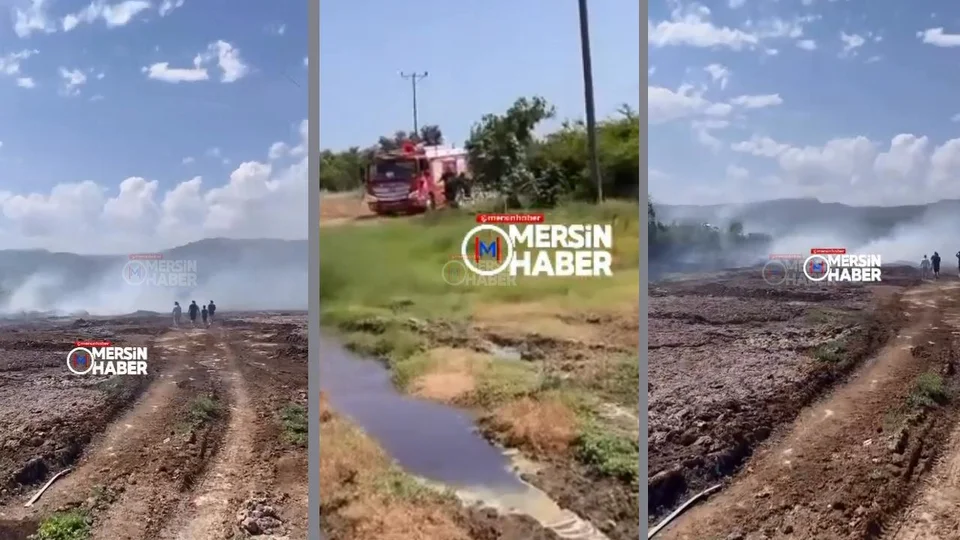 Erdemli Elvanlı - Hacıhalilarpaç Yolu Yakınlarında Yangın: Limon Ağaçları Zarar Gördü