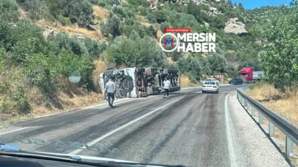 Silifke’de Hayvan Yüklü TIR Devrildi: Çok Sayıda Büyükbaş Telef Oldu