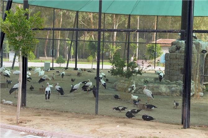 Tarsus Hayvanat Bahçesi