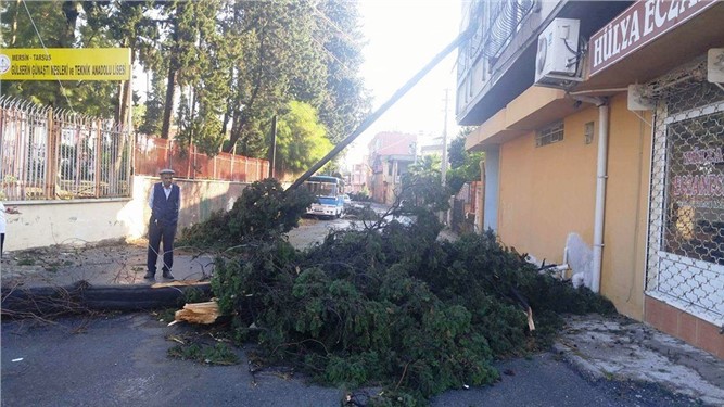 Tarsus'ta fırtına ağaçları devirdi, çatıları uçurdu