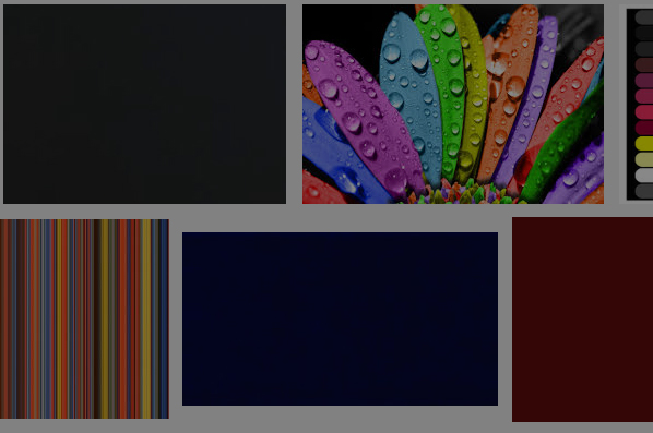 Koyu Renklere Sivri Sinekler Çok Geliyormuş