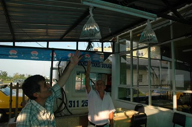 Lambanızın üzerine bir poşet su asın