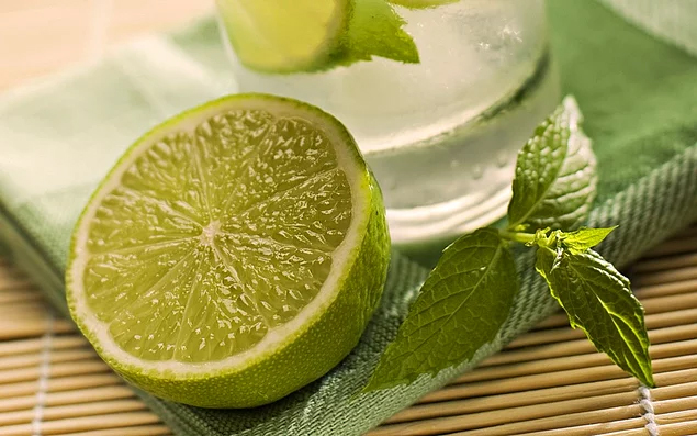 Sivri Sinekler İçin Nane Limon Spreyi