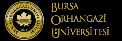 Bursa Orhangazi Üniversitesi (Bursa)