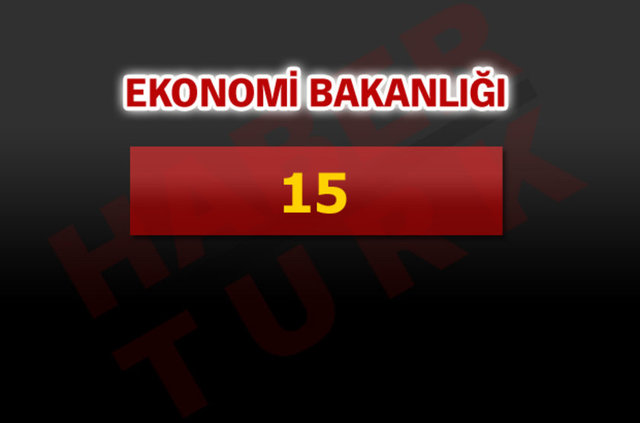 Ekonomik Bakanlığı: 15