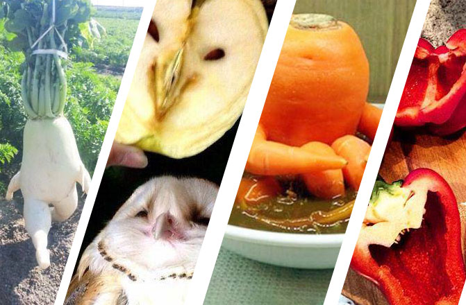 Meyve ve Sebzelerin Diğer Canlılara Mükemmel Benzerlikleri