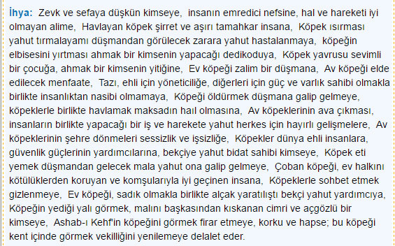 Rüyada Köpek görmek