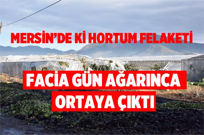 Mersin'de Hortum Felaketi