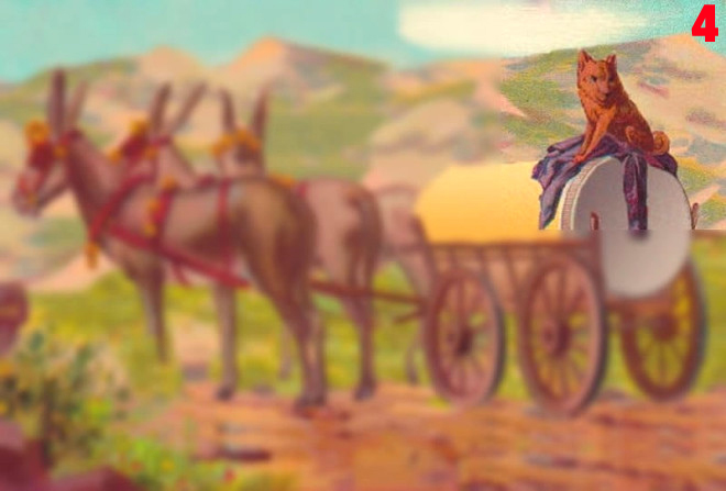 Sağ üstte de sadece bir köpek var.