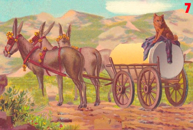 Cevaba geldik. Son bir kez daha şansını denemeye ne dersin?