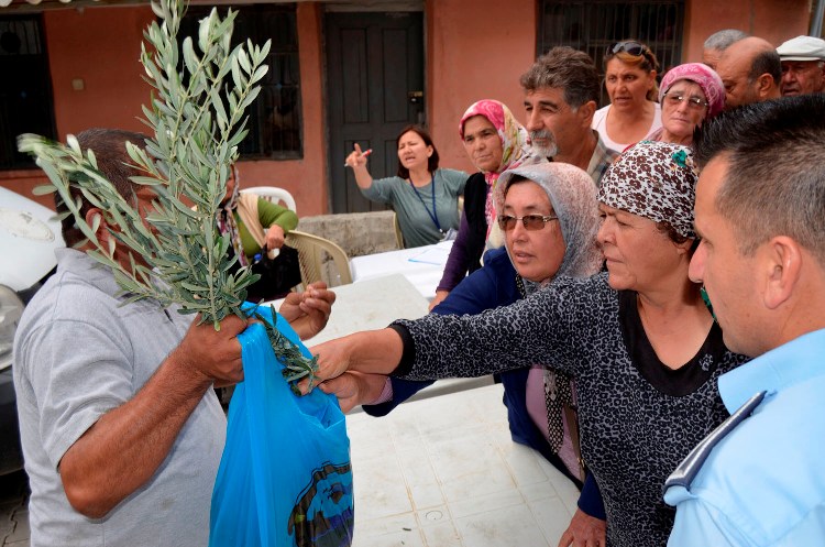 Zeytin Fidesi Dağıtıldı
