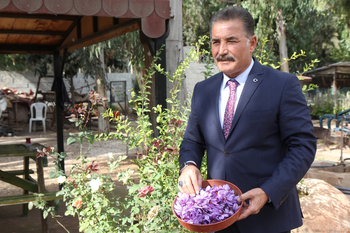 Devam Eden AR-GE Çalışmaları İle Safran Üretimine Başlanmış Oldu