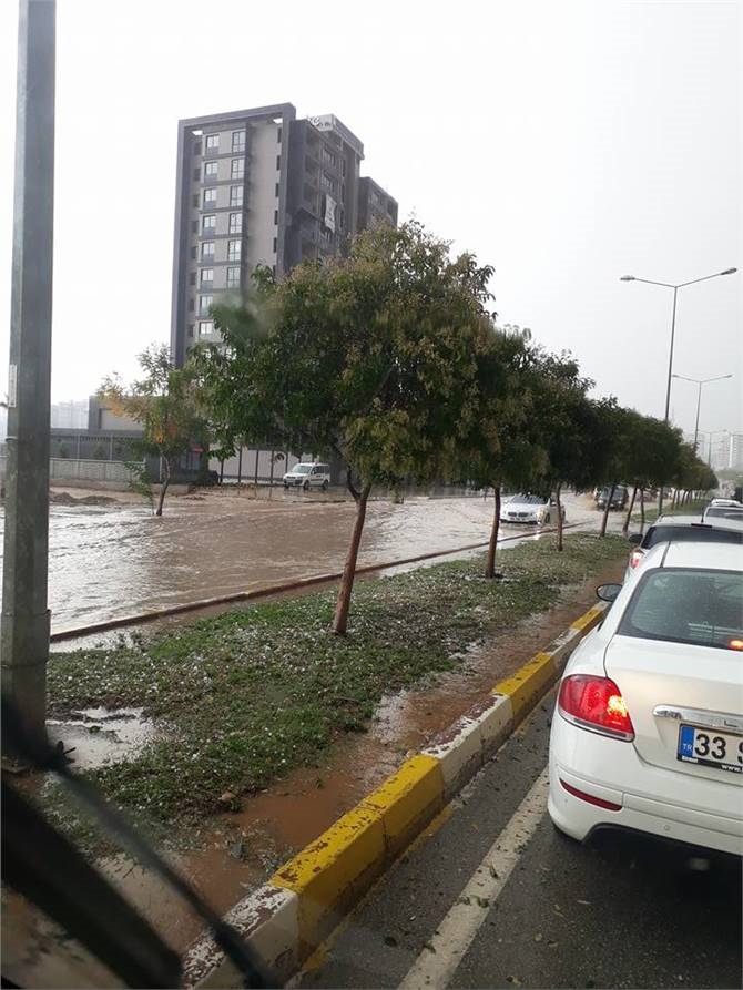 Yol Ortasındaki Refüjlerdeki Ağaçların Yaprakları Dolu Nedeniyle Zarar Gördü