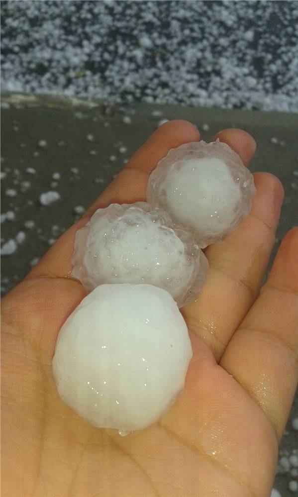 Sadece 3 Dolu Tanesi