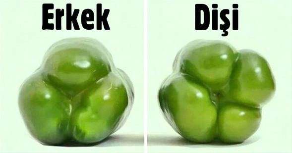 Dolmalık biber alırken...