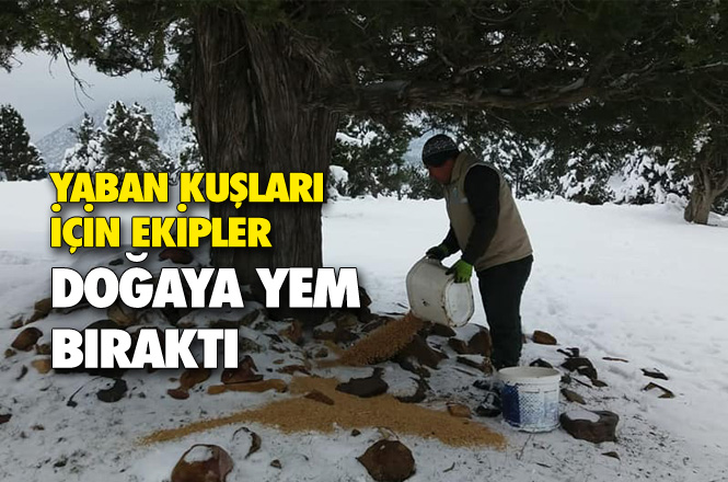 Karla Kaplı Dağlara, Yaban Hayvanları İçin Yem Bırakıldı