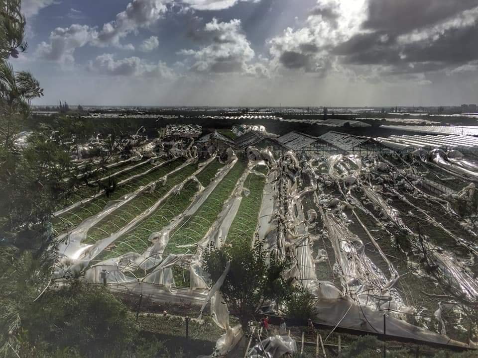 Binlerce Dönüm Seranın Üstü Açıldı Büyük Zarar Gördü