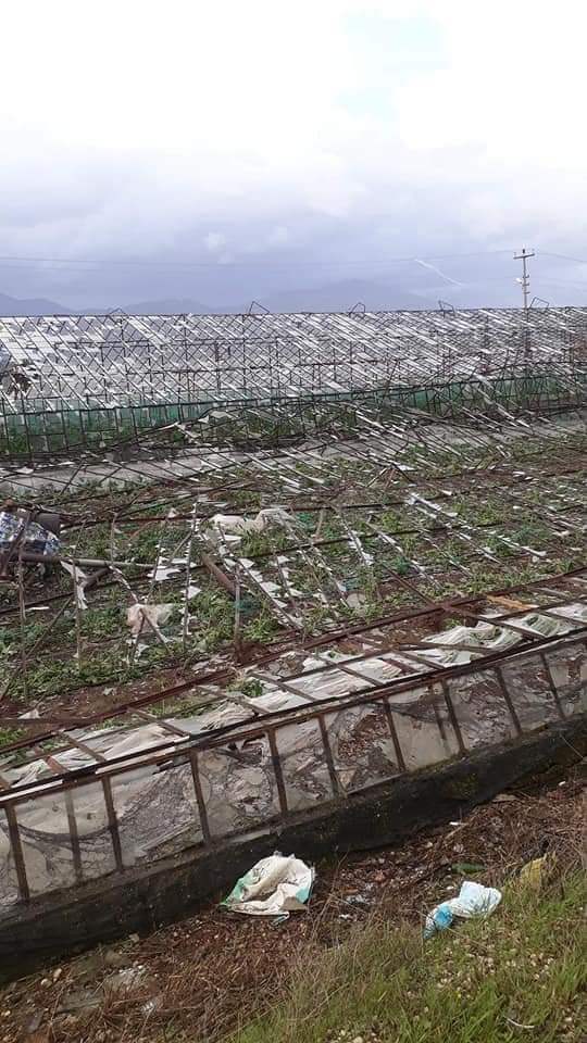 Seralar Büyük Zarar Gördü