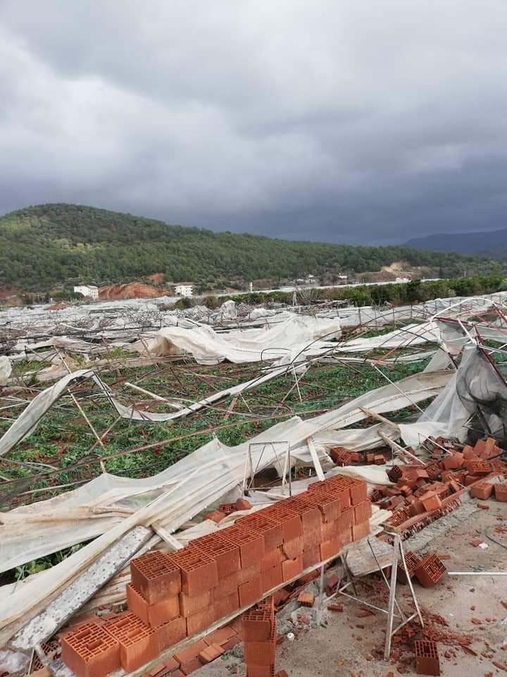 Seralardaki Naylonlarla Beraber Tuğlalar da Maf Oldu