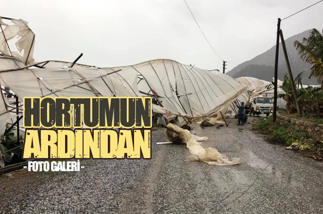 İşte Mersin’de Hortumun Vurduğu Muz Seraları! Hortumdan Sonra Fotoğraflar
