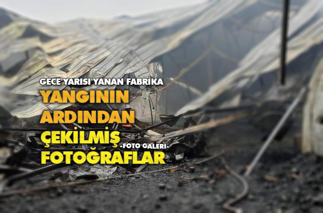 Mersin Tarsus Yenice’deki Narenciye Fabrikasında Yangından Sonra Çekilmiş Fotoğraflar