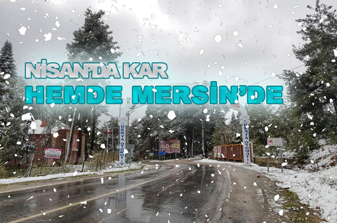 Bu Kar Fotoğrafları Bugün (Cumartesi Günü) Çekildi, Hem de Kar Henüz Yağmış İken