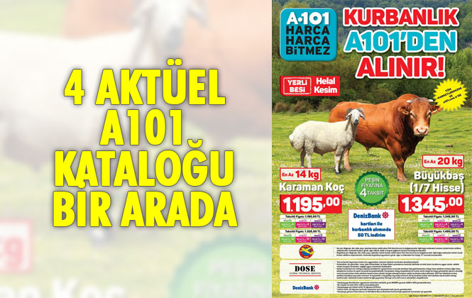 A101 Haftanın Yıldızları, Çok Al Az Öde, Aldın Aldın 1 ve Aldın Aldın 2